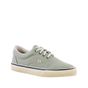 Tenis-Casual-Kiwi-Streetwear-|-Elite-Team-Shoes-Tamanho--38---Cor--KIWI-0